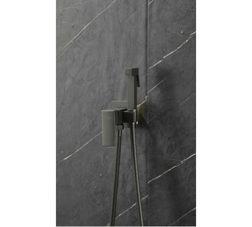 F7506-9 (гигие.душ со смес оруж.сталь)